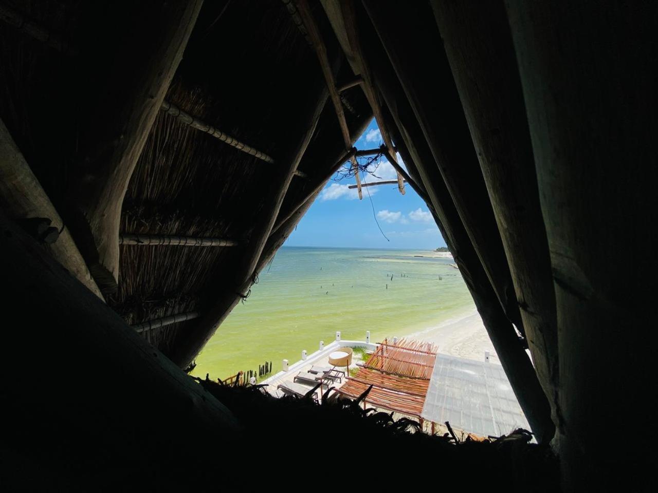 Golden Paradise Beachfront Holbox Extérieur photo