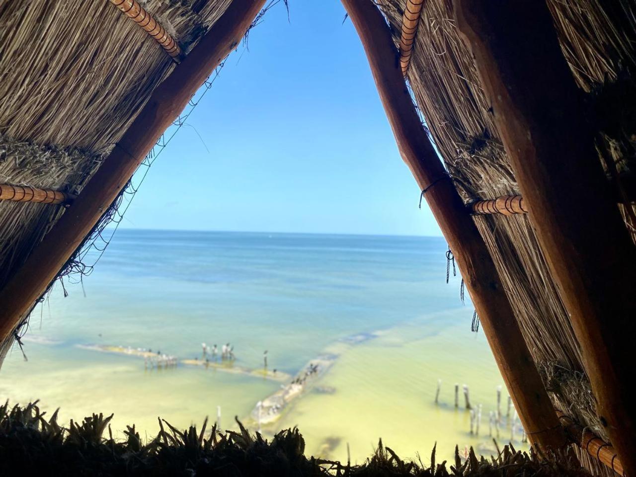 Golden Paradise Beachfront Holbox Extérieur photo