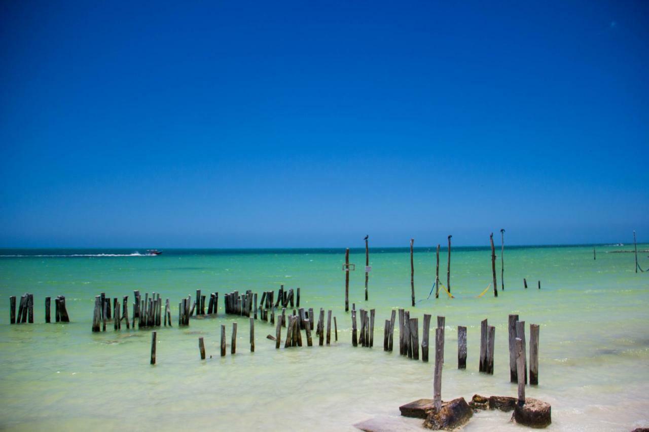 Golden Paradise Beachfront Holbox Extérieur photo
